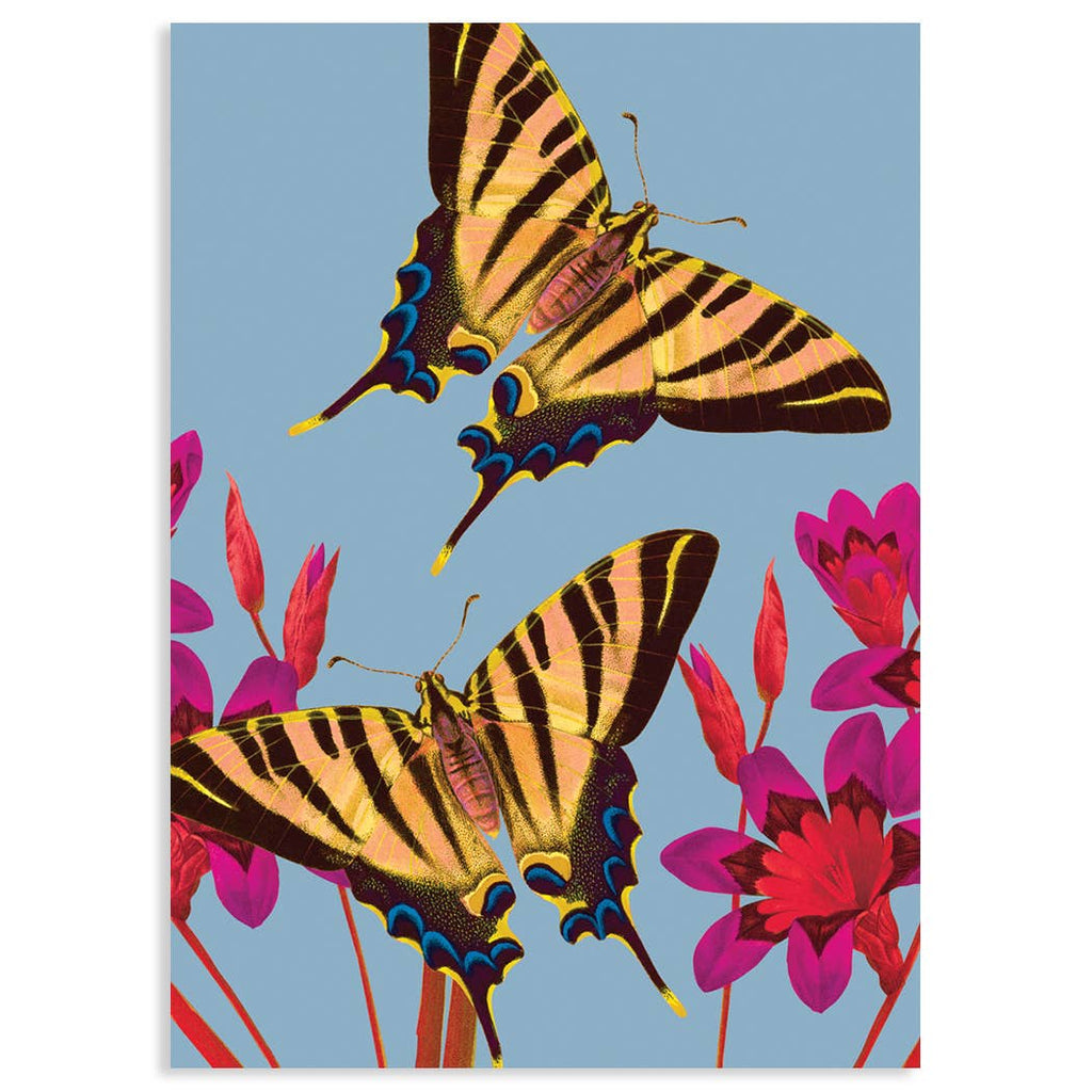 Calypso Cards Inc. - Ixia Butterfly Card-Calypso Cards Inc.-treehaus