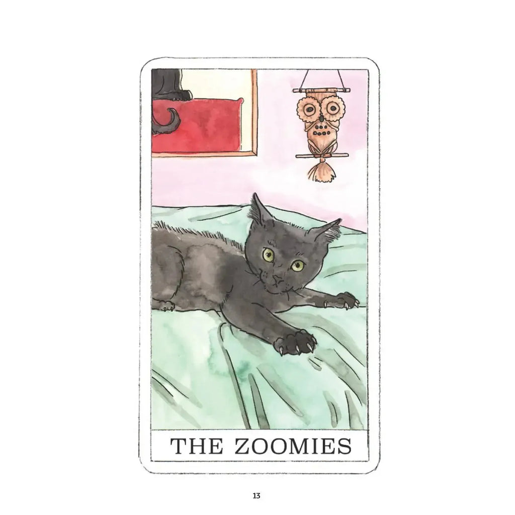 Chronicle - Kitten Oracle-Chronicle-treehaus