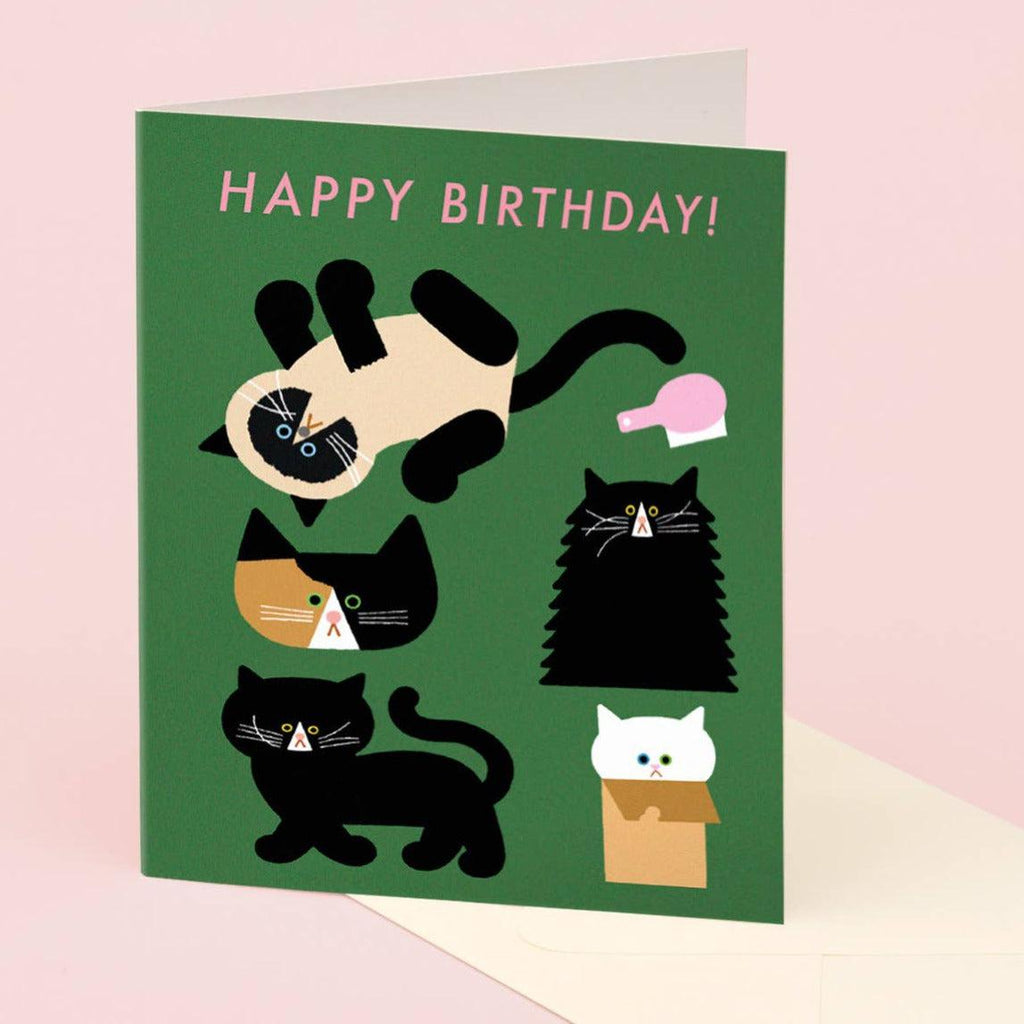 Clap Clap - Playing Cats Birthday Card-Clap Clap-treehaus