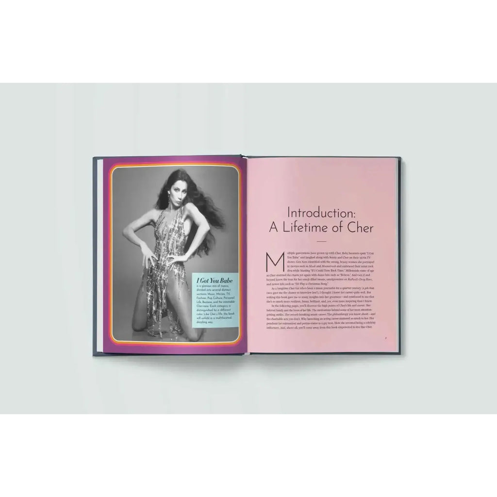 Hachette - I Got You Babe: A Celebration of Cher - Hardcover-Hachette-treehaus