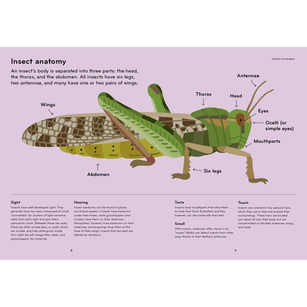 Ingram - Insectorama-Ingram-treehaus