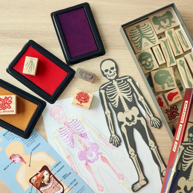 Kikkerland - Anatomy Stamps Set-Kikkerland-treehaus