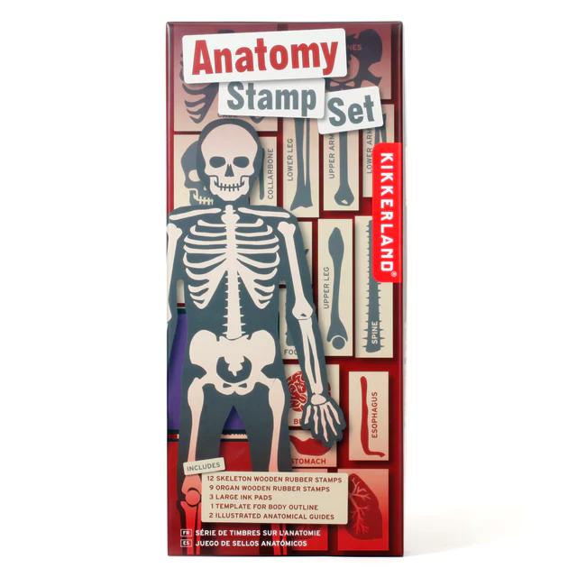 Kikkerland - Anatomy Stamps Set-Kikkerland-treehaus