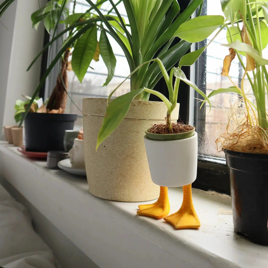 Kikkerland - Duck Feet Planter - Small-Kikkerland-treehaus