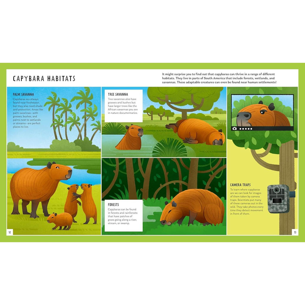 Macmillan - Capybara: Young Zoologist - Hardcover-Macmillan-treehaus