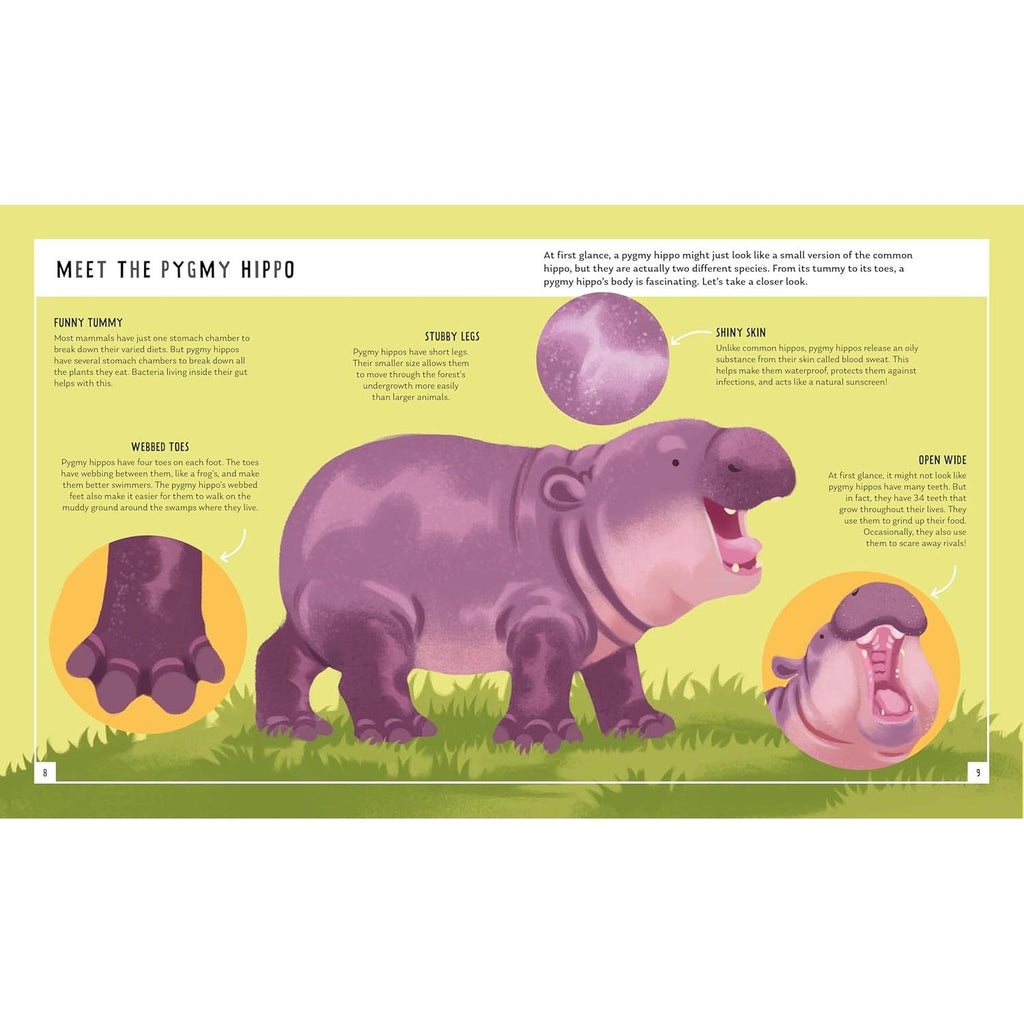 Macmillan - Pygmy Hippo: Young Zoologist - Hardcover-Macmillan-treehaus