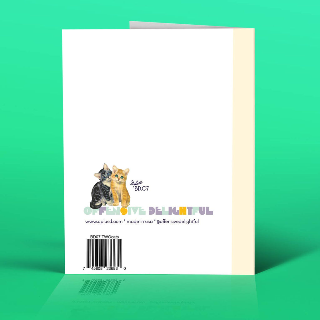 OffensiveDelightful - Asshole Cats Birthday-OffensiveDelightful-treehaus