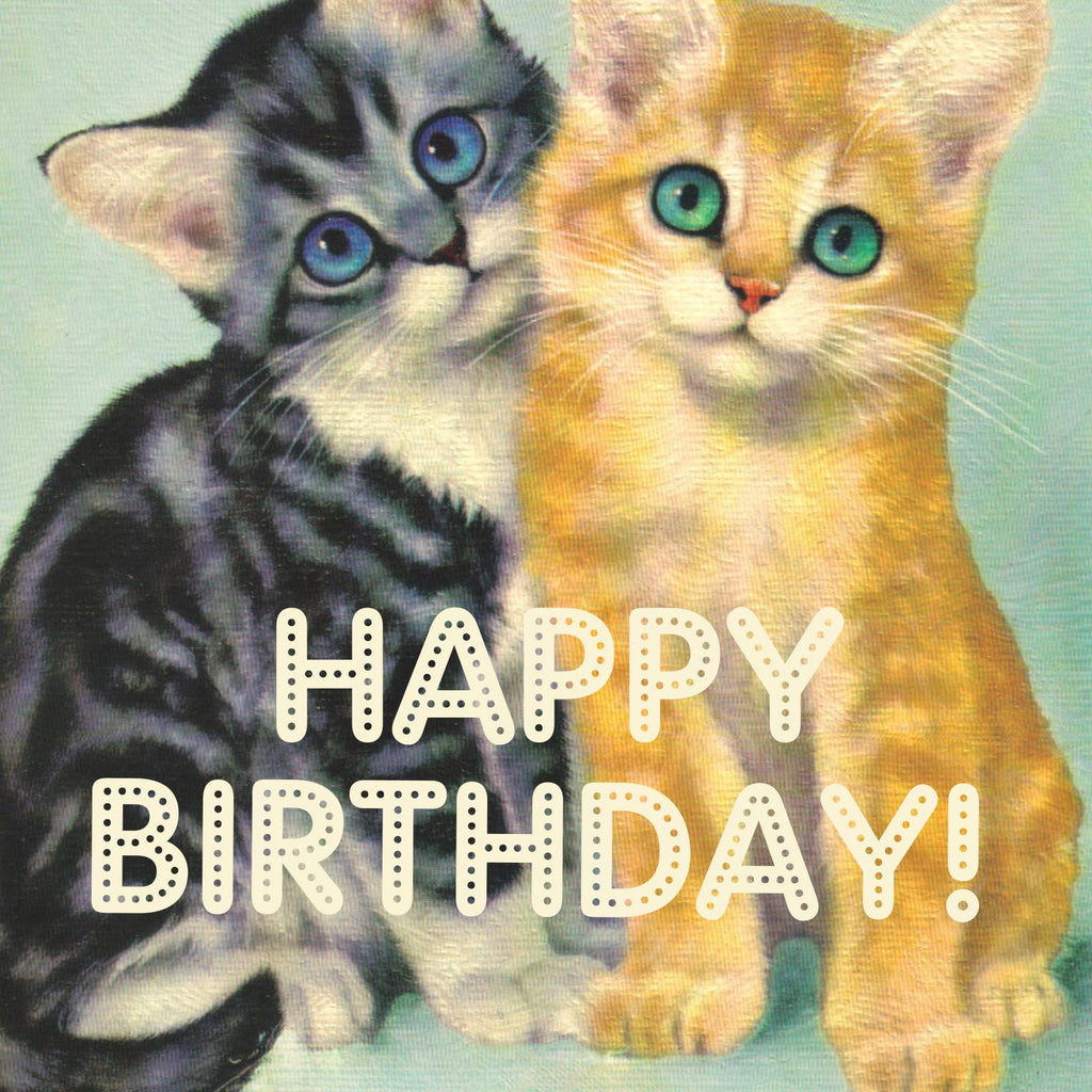 OffensiveDelightful - Asshole Cats Birthday-OffensiveDelightful-treehaus