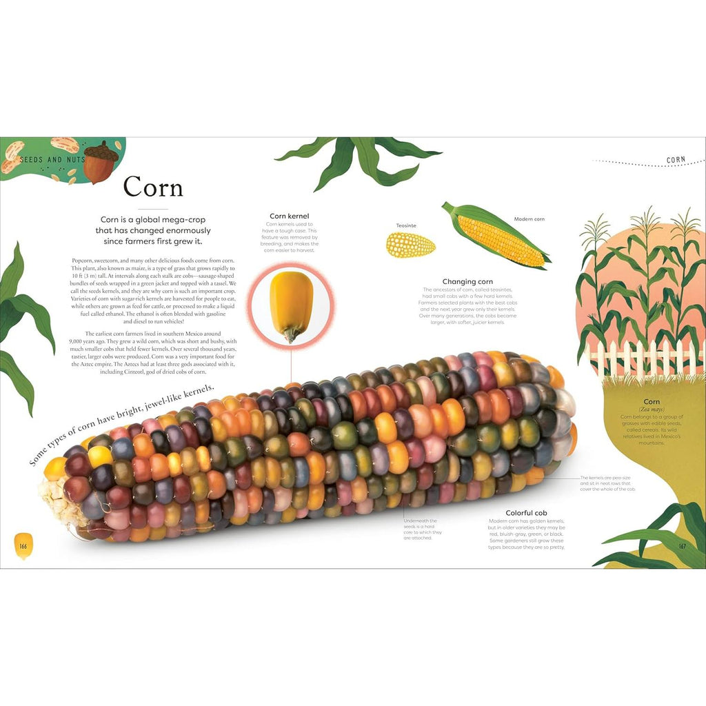 Random House - The Secret World of Plants - Hardcover-Random House-treehaus