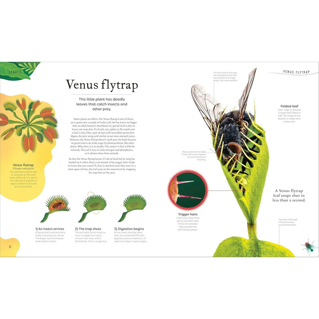 Random House - The Secret World of Plants - Hardcover-Random House-treehaus