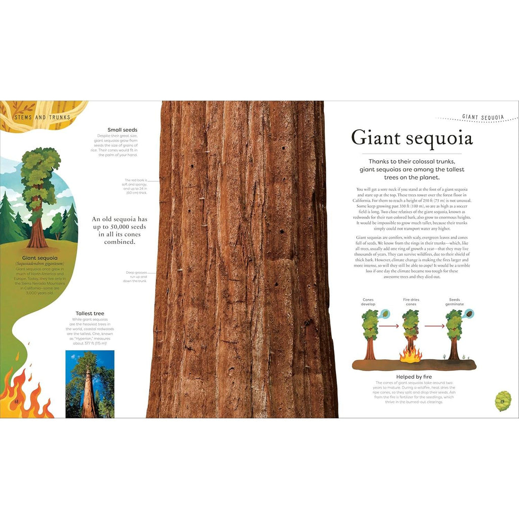 Random House - The Secret World of Plants - Hardcover-Random House-treehaus