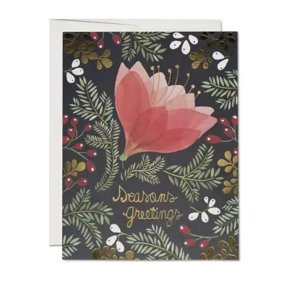Red Cap Cards - Amaryllis Holiday-Red Cap Cards-treehaus