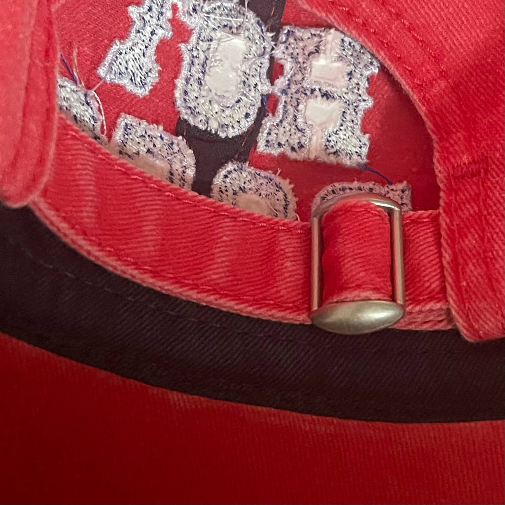The Silver Spider - Hot Dogs Baseball Cap - Red and Blue-The Silver Spider-treehaus