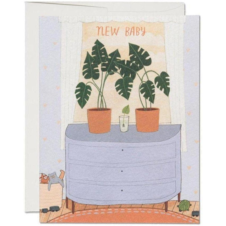 Red Cap Cards - New Baby Monstera-Red Cap Cards-treehaus