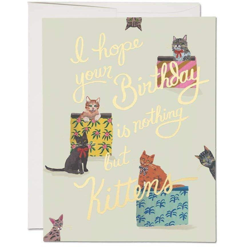 Red Cap Cards - Nothing But Kittens-Red Cap Cards-treehaus